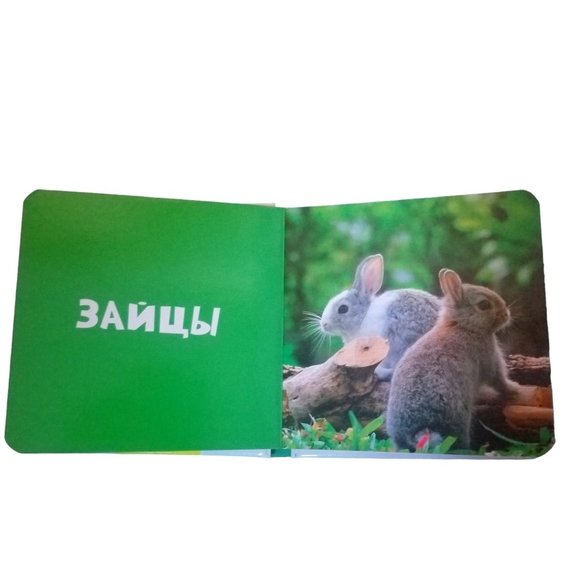 Children's Book | 10 Animals | Zhivotnye | Foto-kniga | Russian Edition - Picture 6 of 16